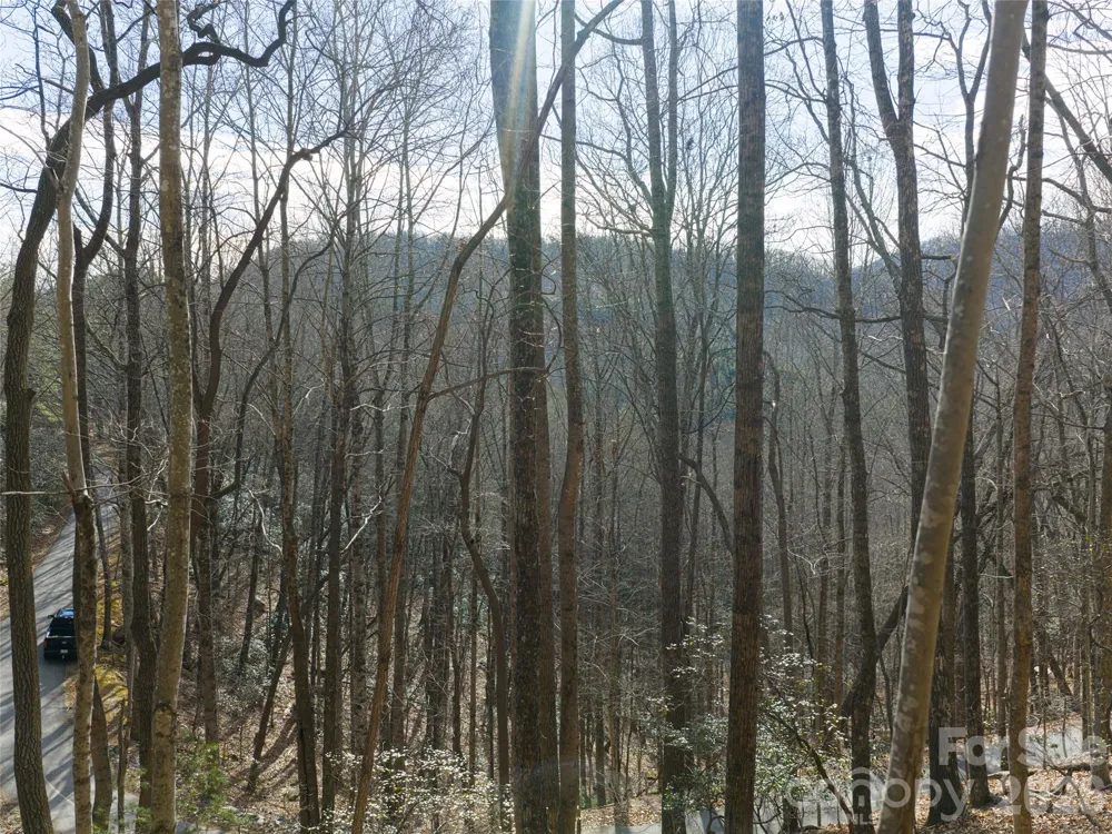 40 Cedar Drive Mills River, NC 28759