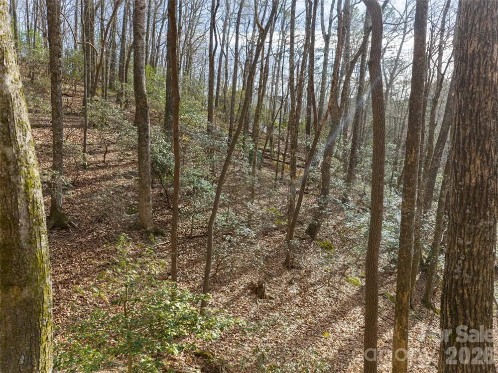 40 Cedar Drive Mills River, NC 28759