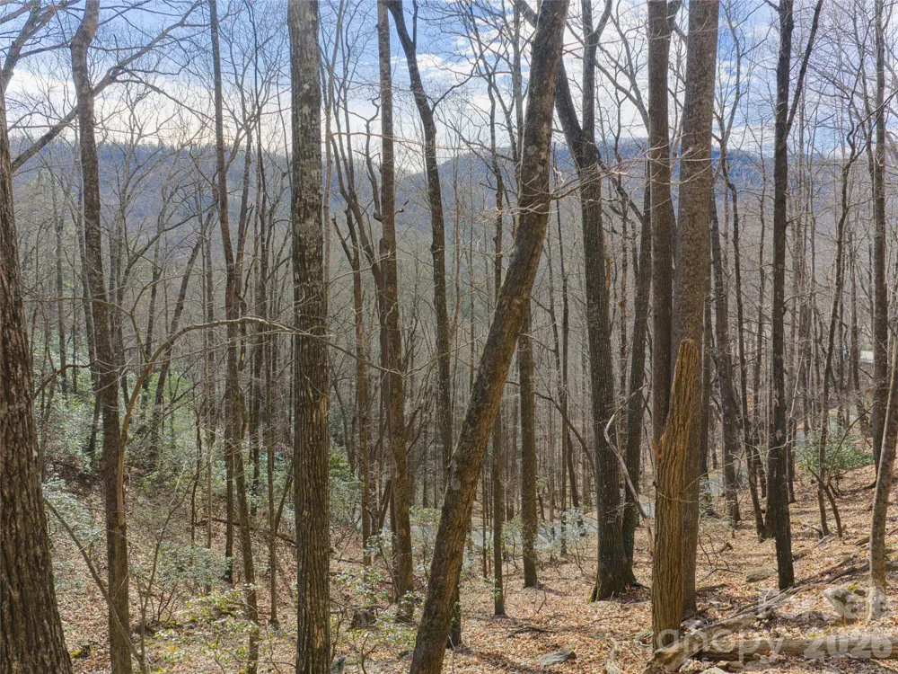 40 Cedar Drive Mills River, NC 28759