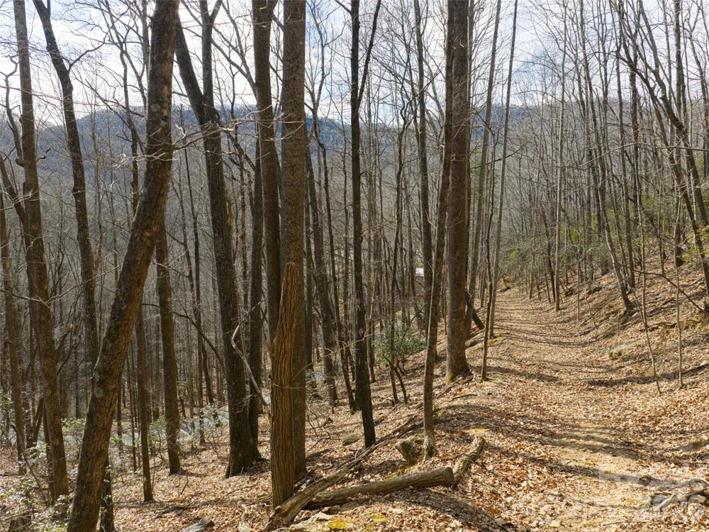 40 Cedar Drive Mills River, NC 28759
