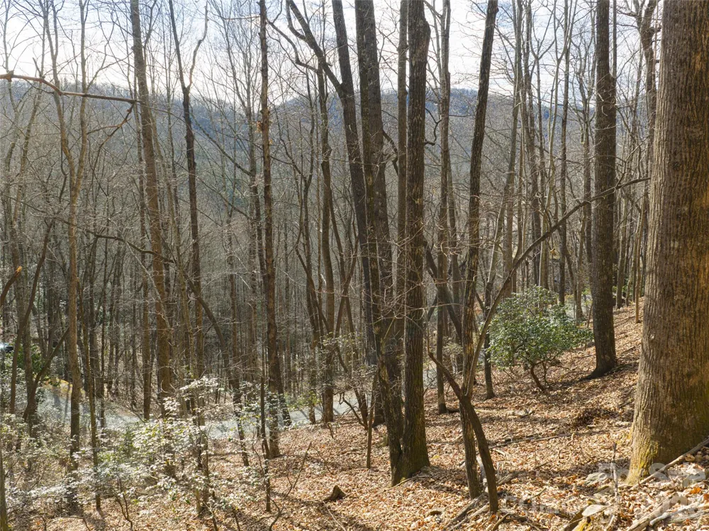 40 Cedar Drive Mills River, NC 28759