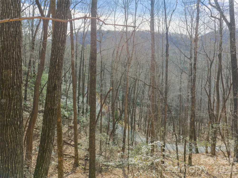 40 Cedar Drive Mills River, NC 28759