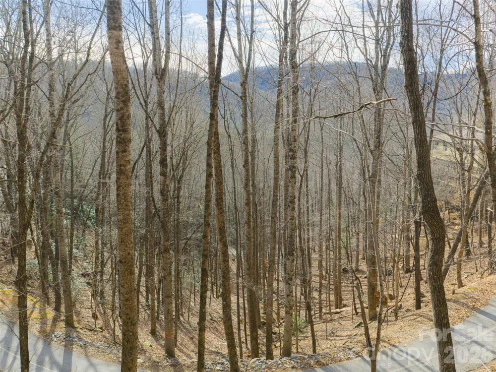 40 Cedar Drive Mills River, NC 28759