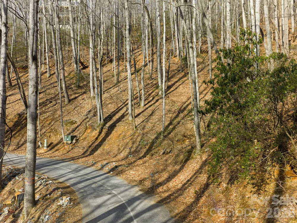 40 Cedar Drive Mills River, NC 28759
