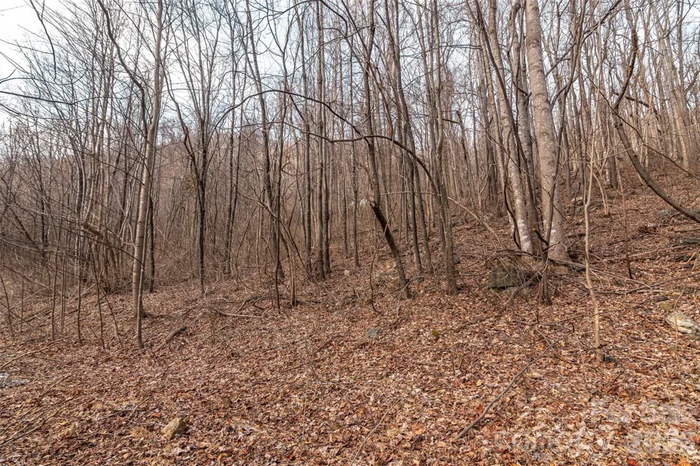 630 Spring Cove Lane Mill Spring, NC 28756