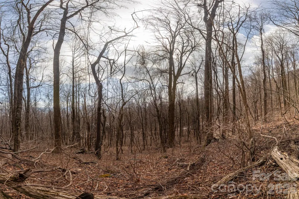 630 Spring Cove Lane Mill Spring, NC 28756