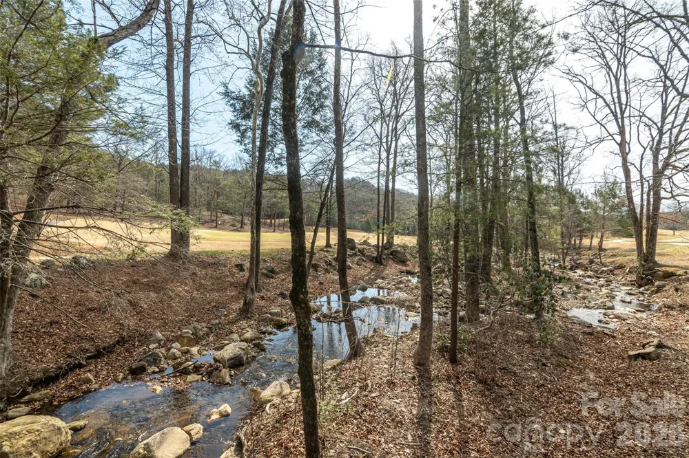 630 Spring Cove Lane Mill Spring, NC 28756