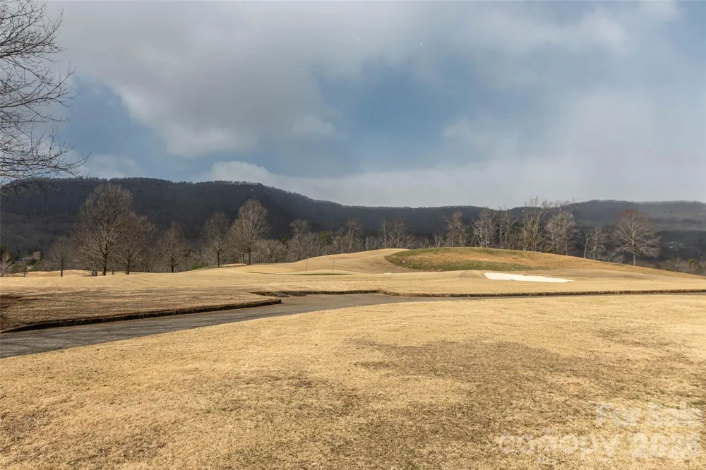 630 Spring Cove Lane Mill Spring, NC 28756