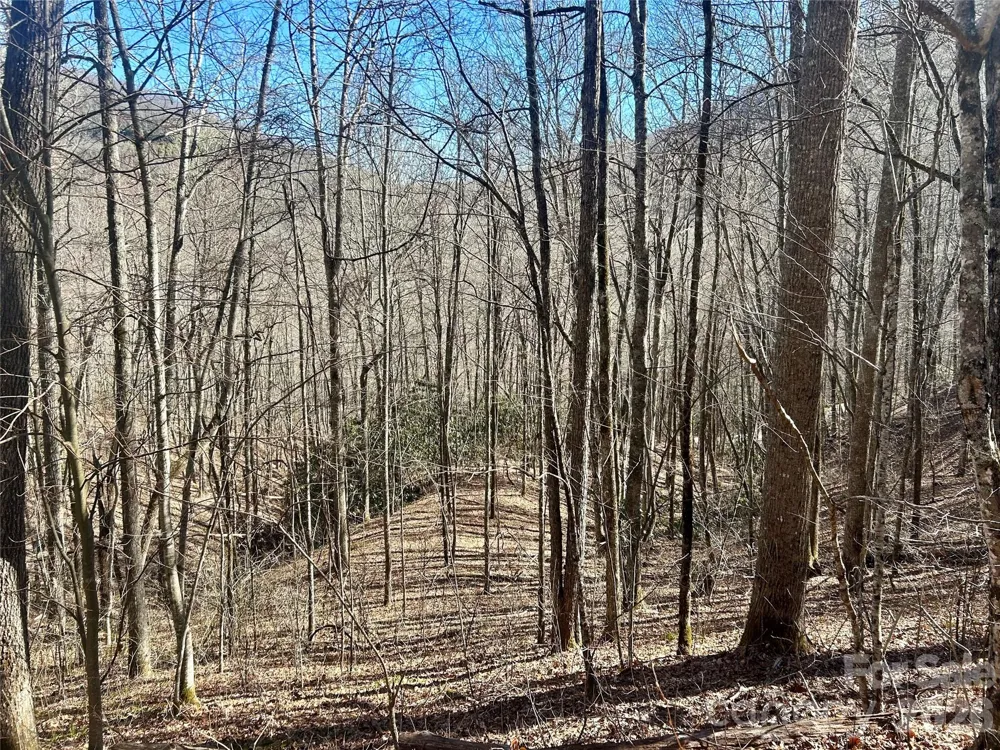 0 Deep Gap View #51&52&53 Whittier, NC 28789