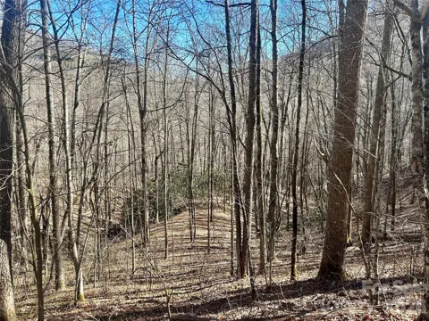 0 Deep Gap View #51&52&53