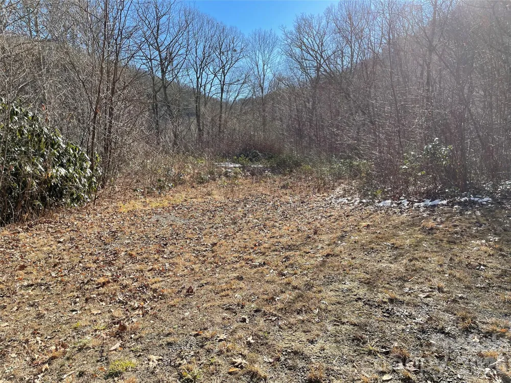 0 Deep Gap View #51&52&53 Whittier, NC 28789