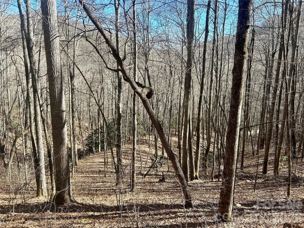 0 Deep Gap View #51&52&53 Whittier, NC 28789