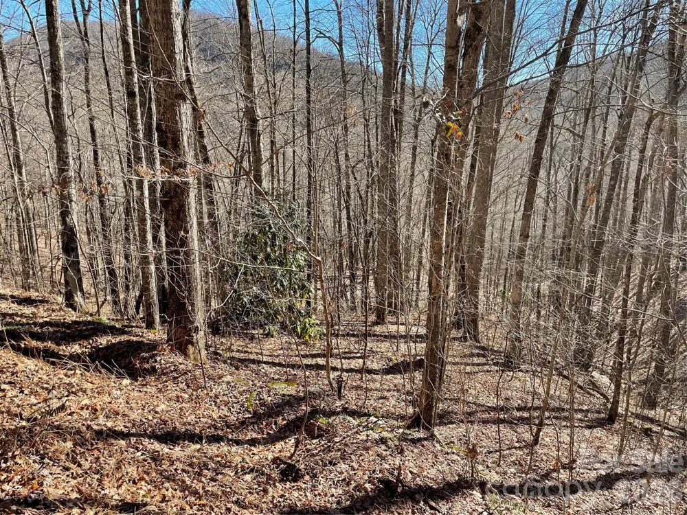 0 Deep Gap View #51&52&53 Whittier, NC 28789
