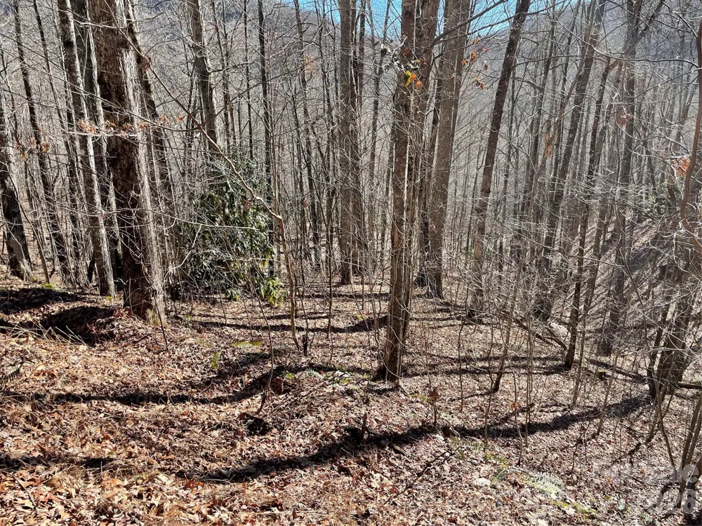 0 Deep Gap View #51&52&53 Whittier, NC 28789