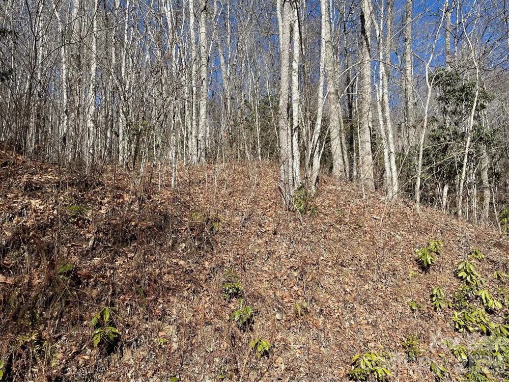 0 Deep Gap View #51&52&53 Whittier, NC 28789