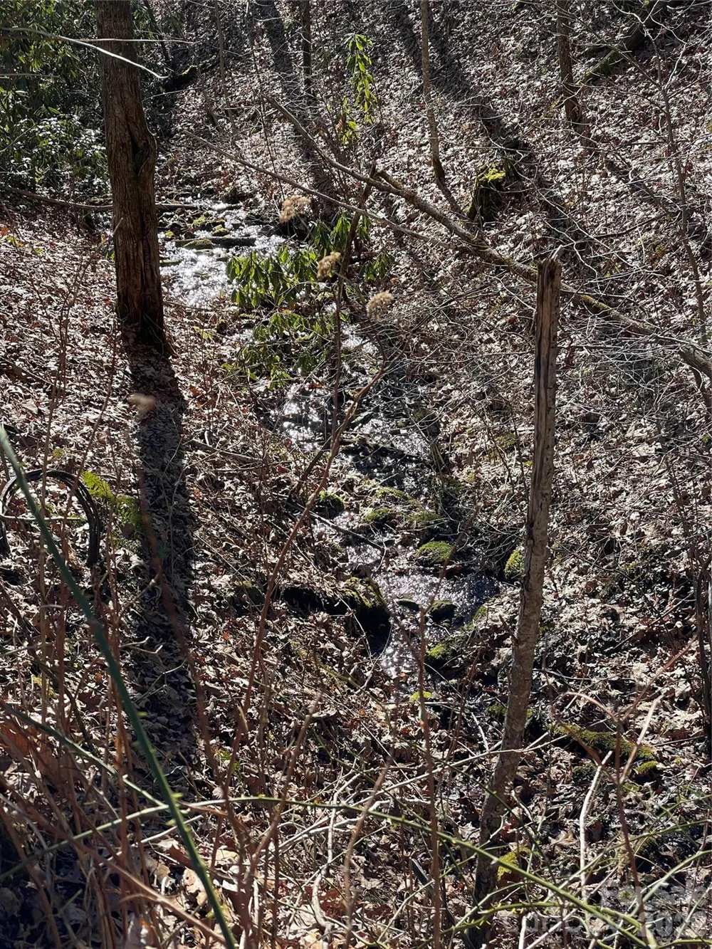 0 Deep Gap View #51&52&53 Whittier, NC 28789