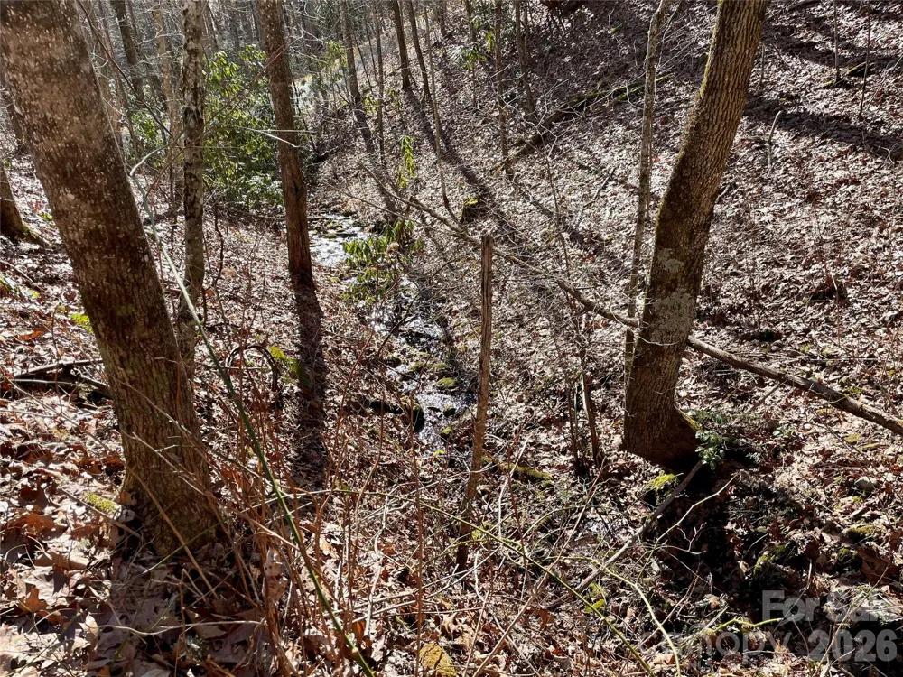0 Deep Gap View #51&52&53 Whittier, NC 28789
