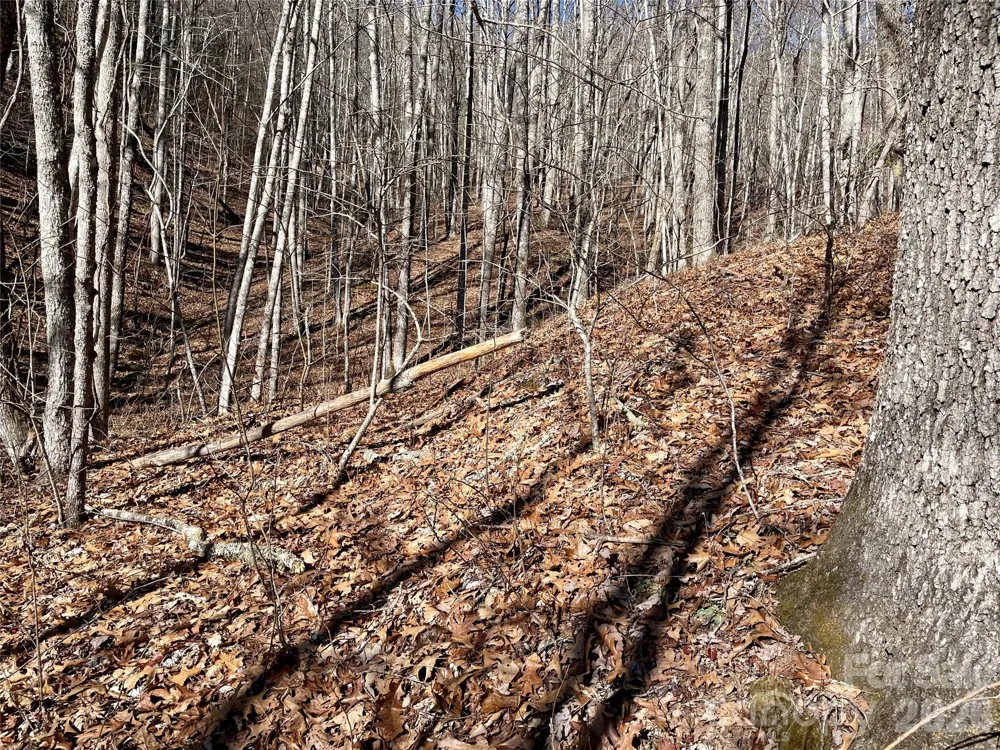 0 Deep Gap View #51&52&53 Whittier, NC 28789