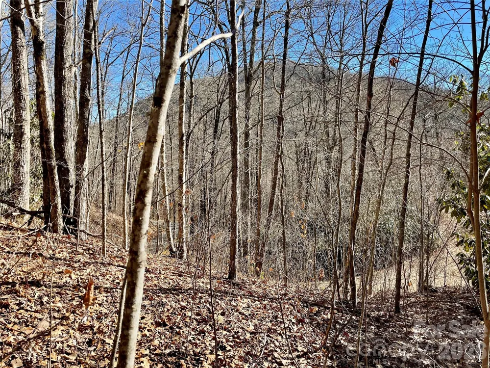 0 Deep Gap View #51&52&53 Whittier, NC 28789