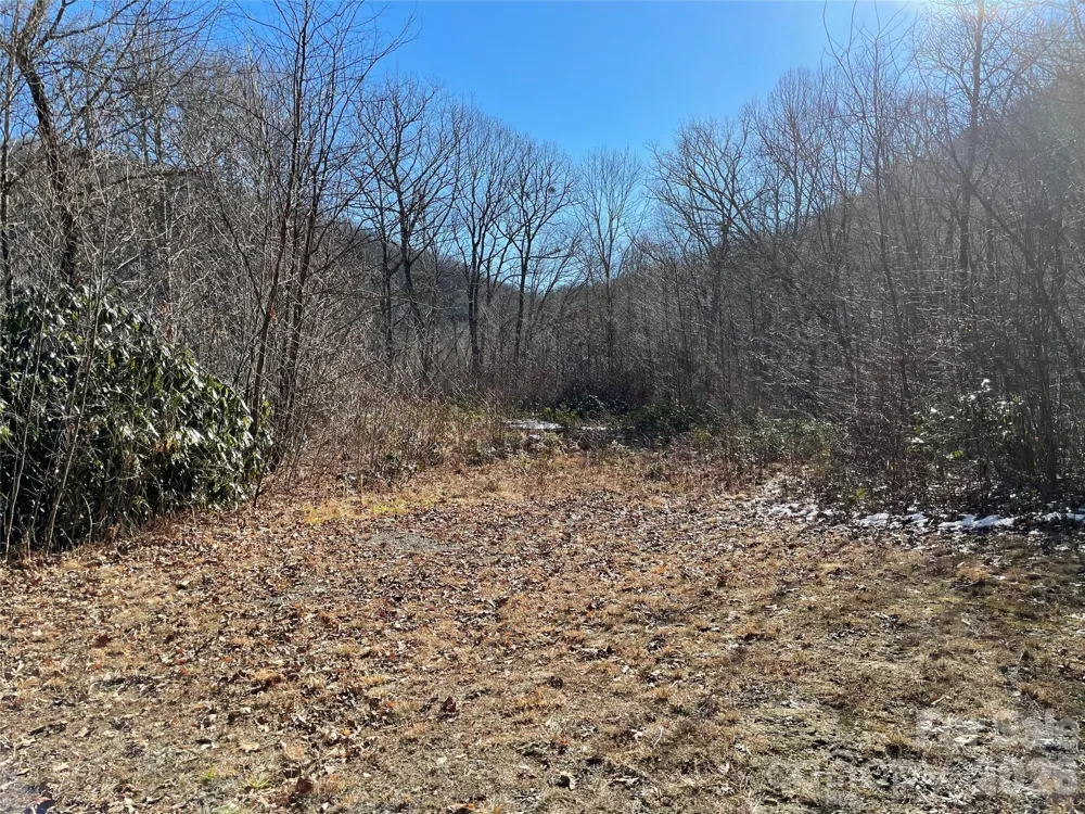 0 Deep Gap View #51&52&53 Whittier, NC 28789