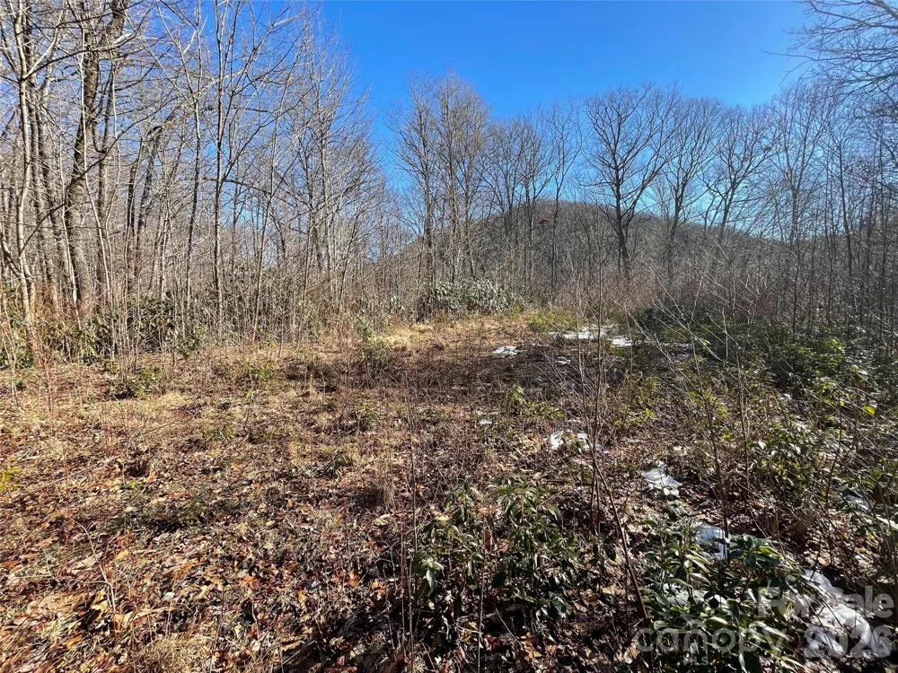0 Deep Gap View #51&52&53 Whittier, NC 28789