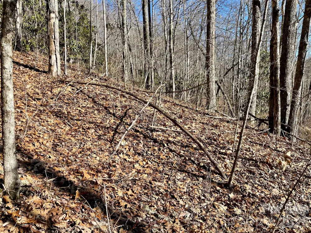 0 Deep Gap View #51&52&53 Whittier, NC 28789