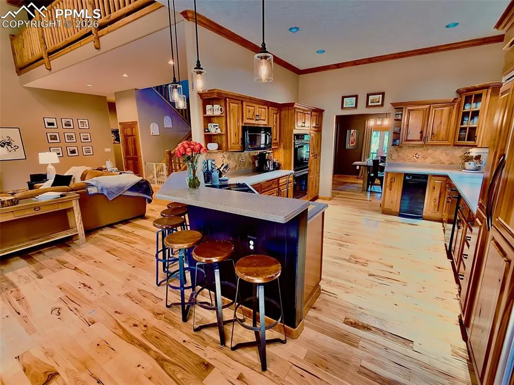1210 Kenosha Drive Larkspur, CO 80118