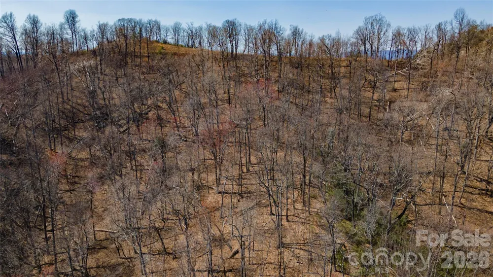000 Devin Ridge Lane #99 Union Mills, NC 28167