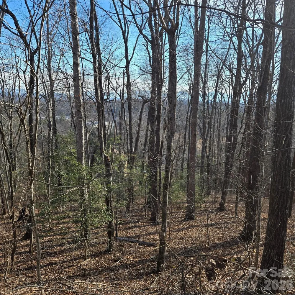 85 Shinnecock Drive #7 Mills River, NC 28759