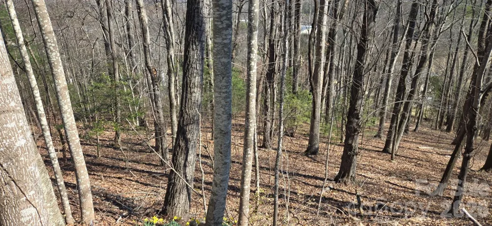 85 Shinnecock Drive #7 Mills River, NC 28759