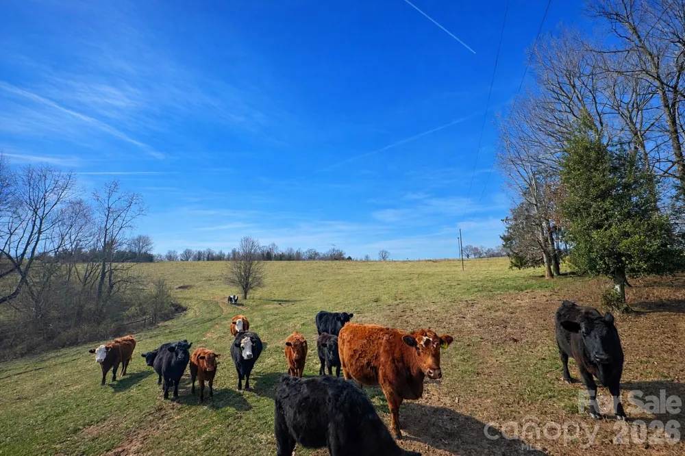 0 Red Barn Road Ellenboro, NC 28040
