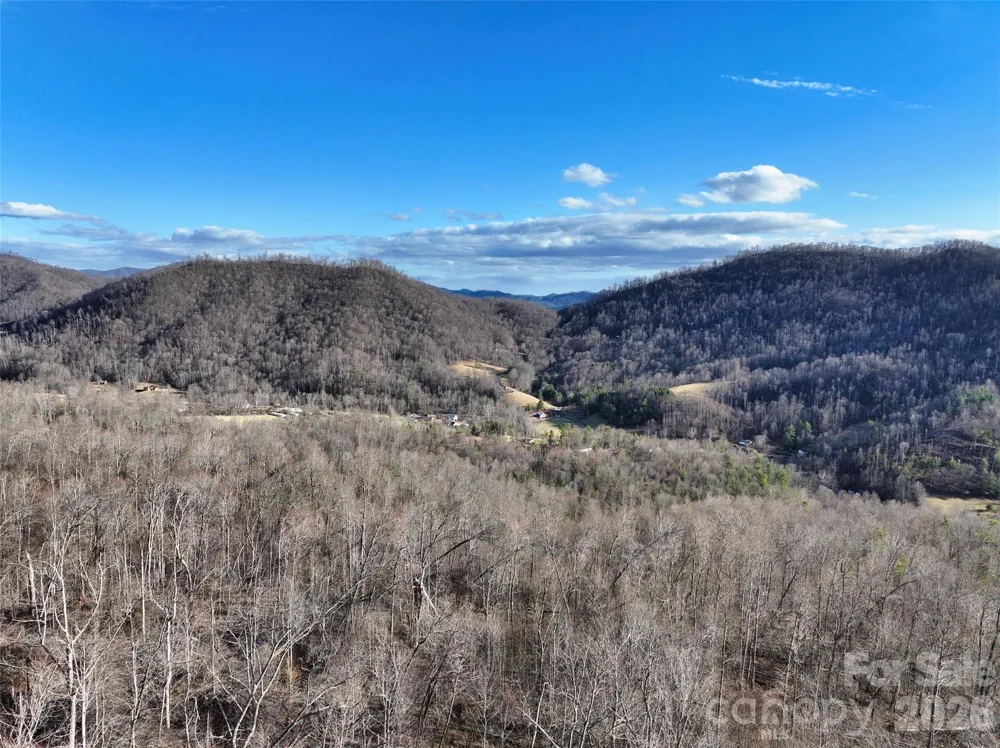 0000 Fork Mountain Road Bakersville, NC 28705
