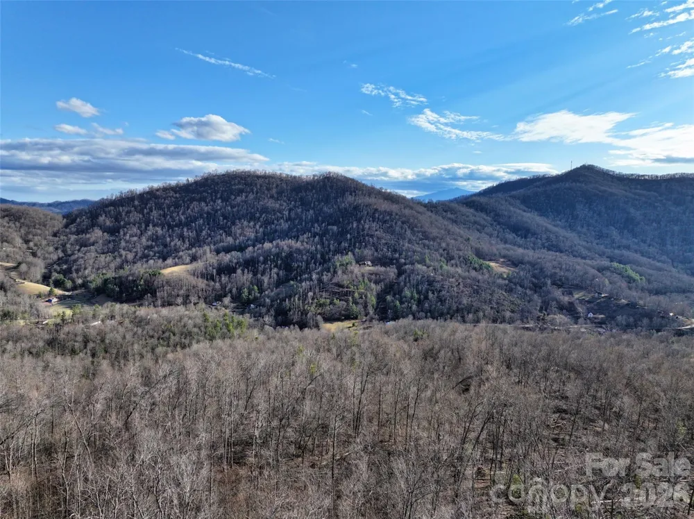 0000 Fork Mountain Road Bakersville, NC 28705