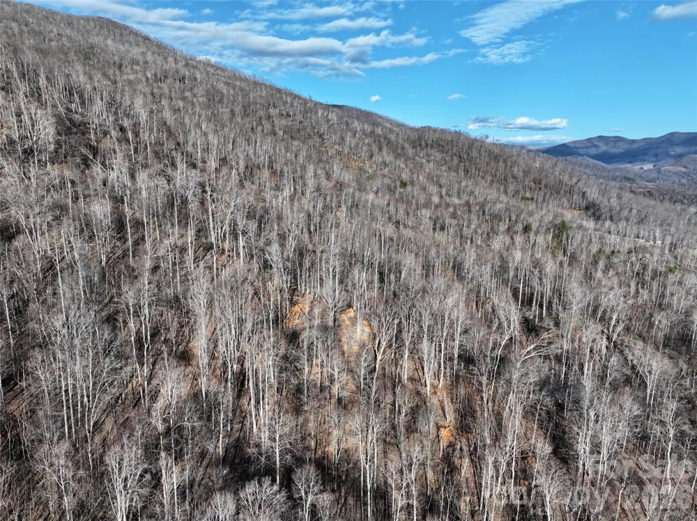 0000 Fork Mountain Road Bakersville, NC 28705