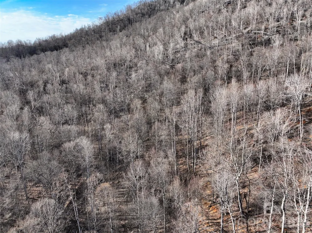 0000 Fork Mountain Road Bakersville, NC 28705