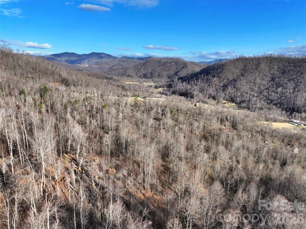 0000 Fork Mountain Road Bakersville, NC 28705