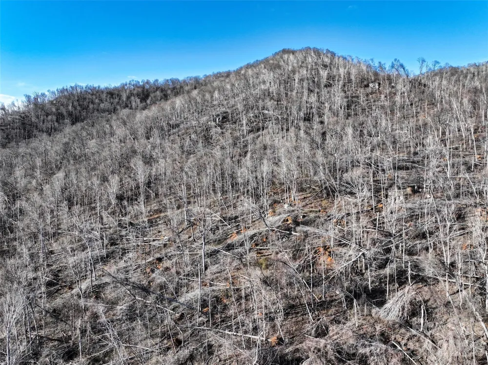 0000 Fork Mountain Road Bakersville, NC 28705