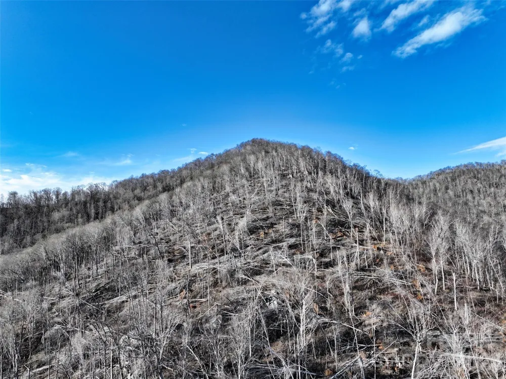 0000 Fork Mountain Road Bakersville, NC 28705