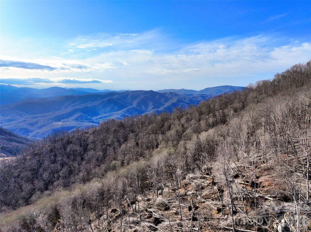 0000 Fork Mountain Road Bakersville, NC 28705
