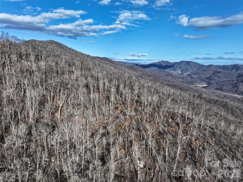 0000 Fork Mountain Road Bakersville, NC 28705