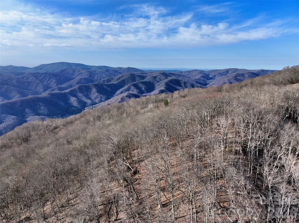 0000 Fork Mountain Road Bakersville, NC 28705