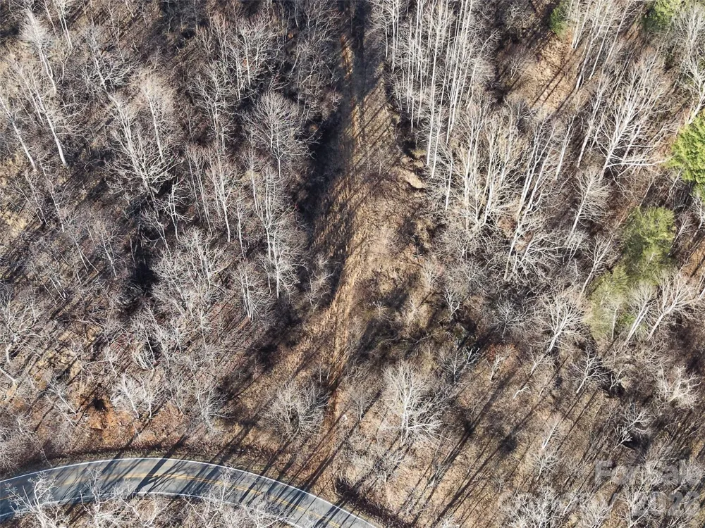 0000 Fork Mountain Road Bakersville, NC 28705
