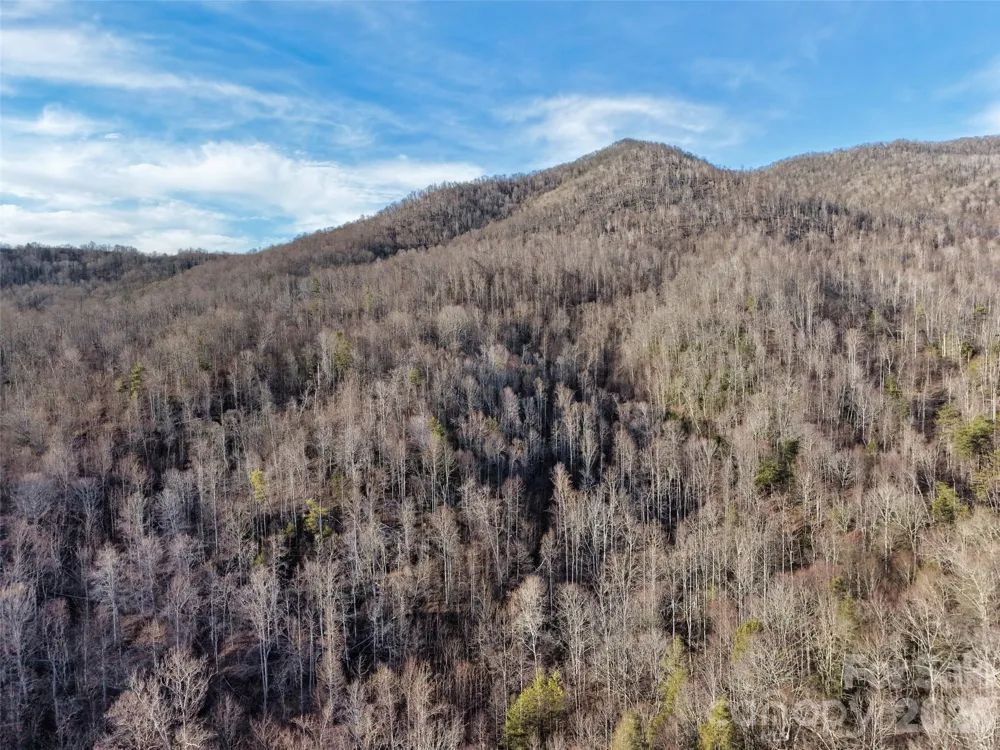 0000 Fork Mountain Road Bakersville, NC 28705