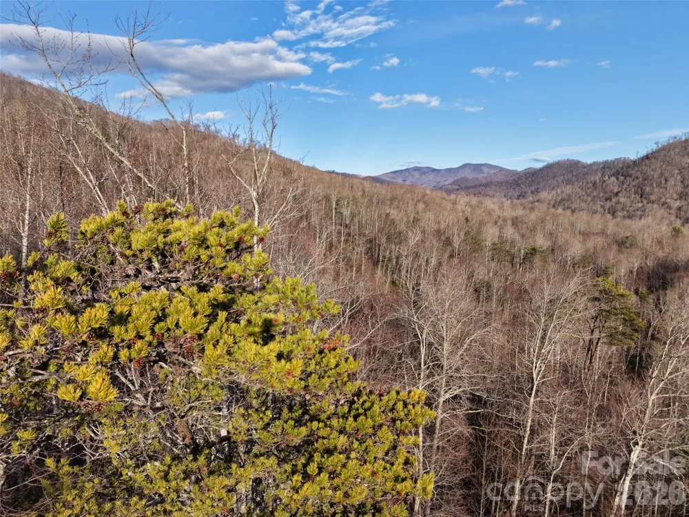 0000 Fork Mountain Road Bakersville, NC 28705