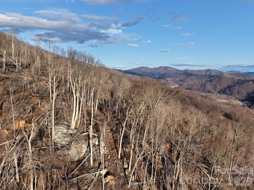 0000 Fork Mountain Road Bakersville, NC 28705