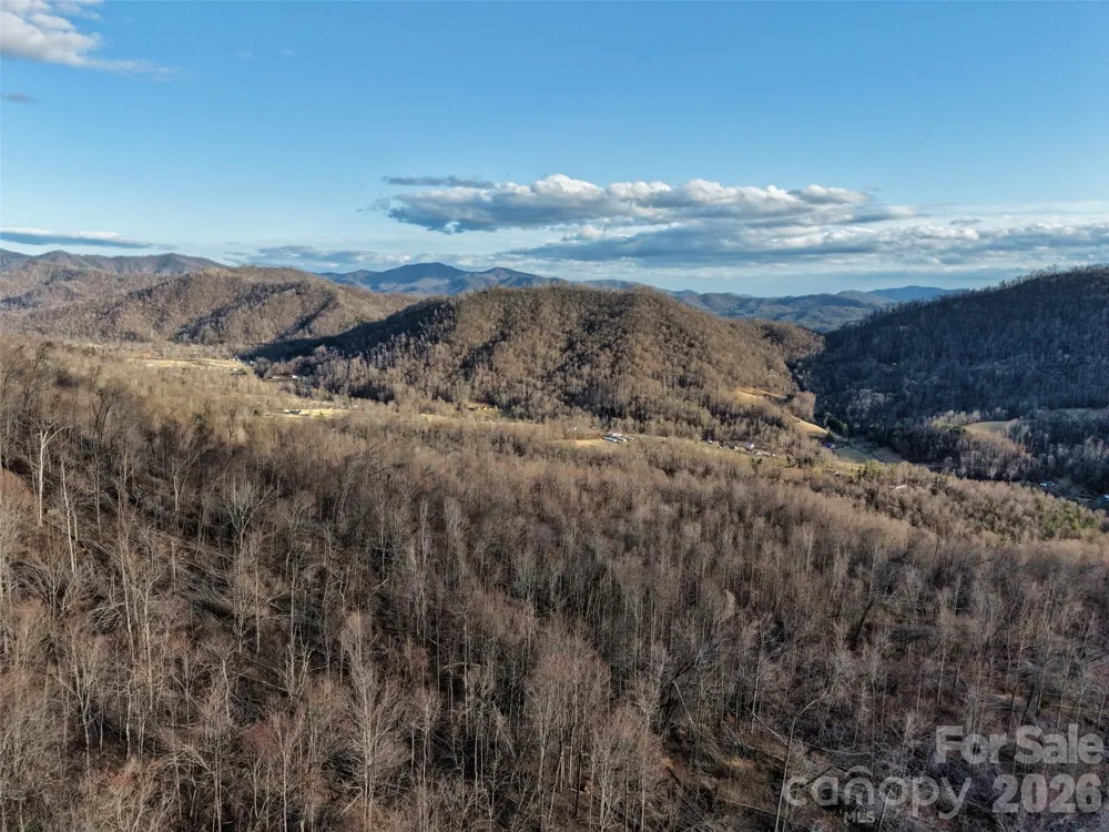 0000 Fork Mountain Road Bakersville, NC 28705