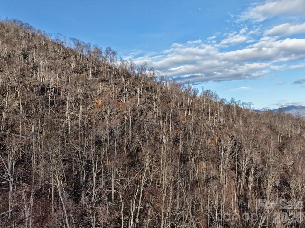 0000 Fork Mountain Road Bakersville, NC 28705