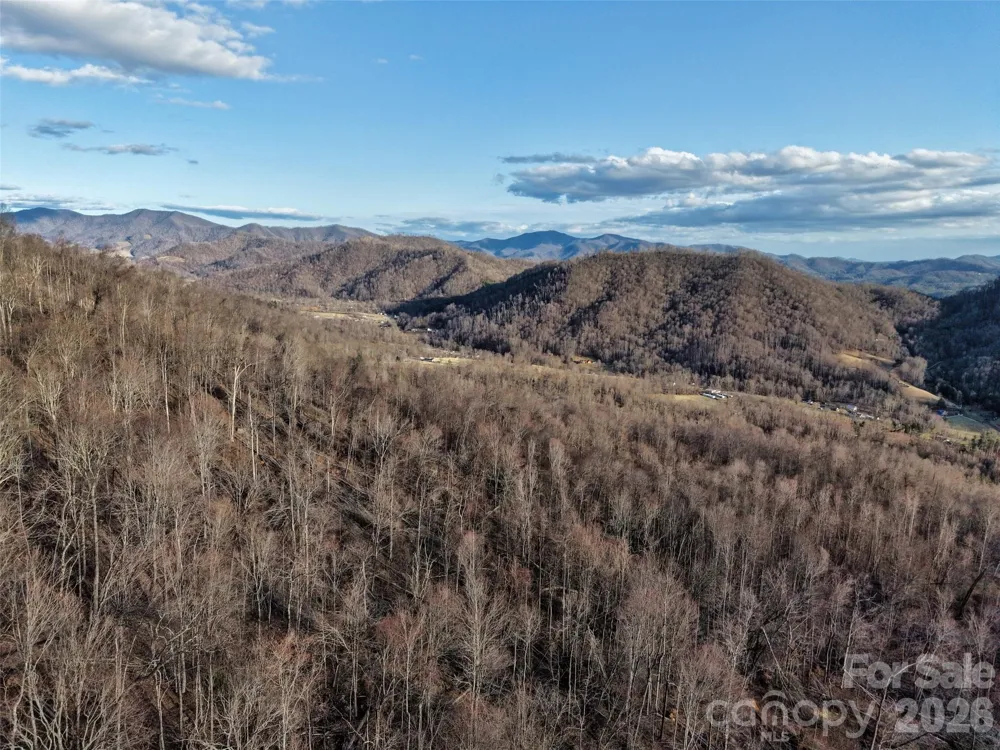 0000 Fork Mountain Road Bakersville, NC 28705
