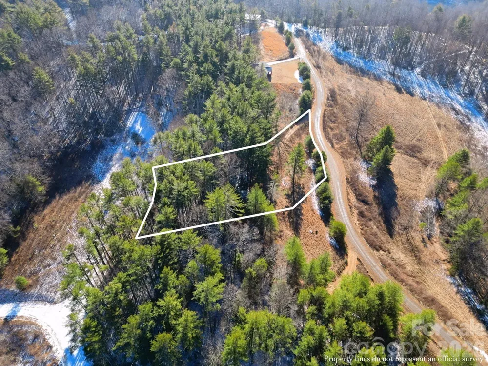 00 Dream Valley Drive #22 Clyde, NC 28721