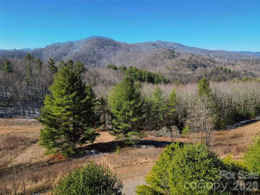 00 Dream Valley Drive #22 Clyde, NC 28721